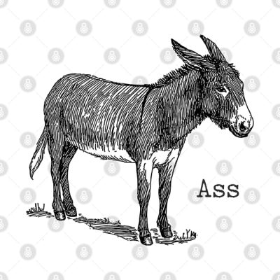 Ass Tapestry Official Jackass Merch Store