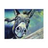 Funny Donkey Tapestry Official Jackass Merch Store