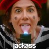 New Movie Posters for Wall Room Decor Jackass Forever Poster Aesthetic Figure Vintage Canvas Painting Wall 14 - Jackass Merch Store