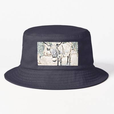 Sketched Jackass Bucket Hat Official Jackass Merch Store